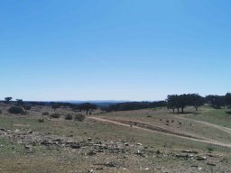 2023-09-29 SALAMANDRA II